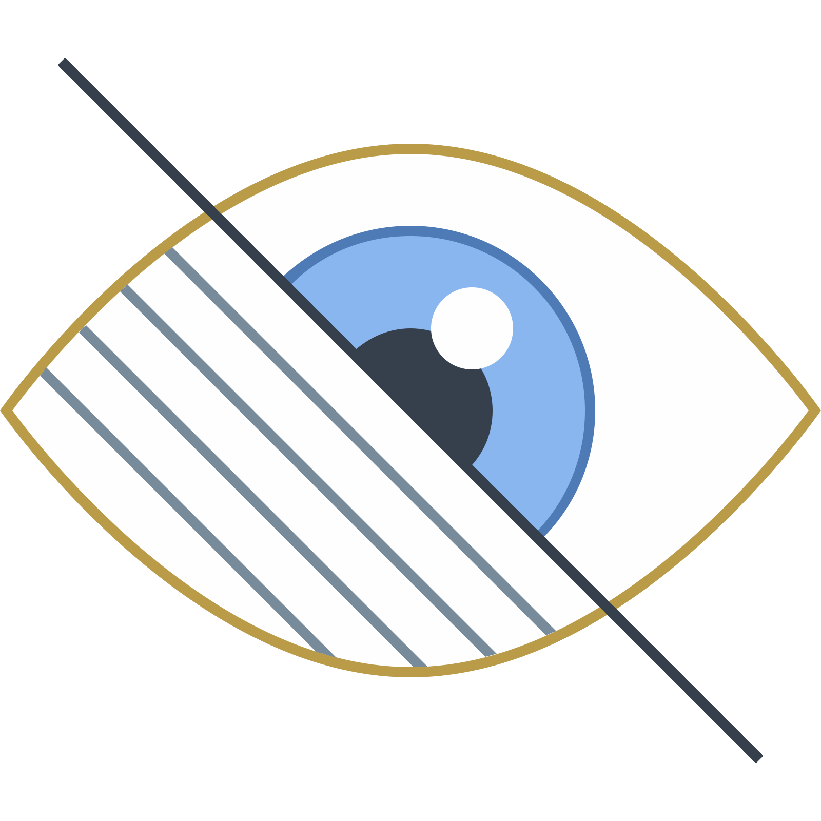 Vision Icon
